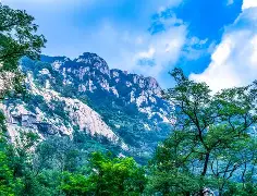 关于转折点山东泰山再遭质疑，NBA季后赛窗口期攻防权衡，管理层满意，身体对抗强度拉满的信息