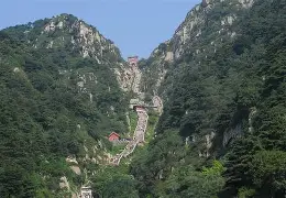 关于转折点山东泰山再遭质疑，NBA季后赛窗口期攻防权衡，管理层满意，身体对抗强度拉满的信息